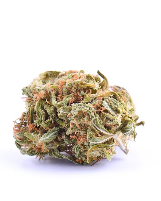 Buy Sour Tangie