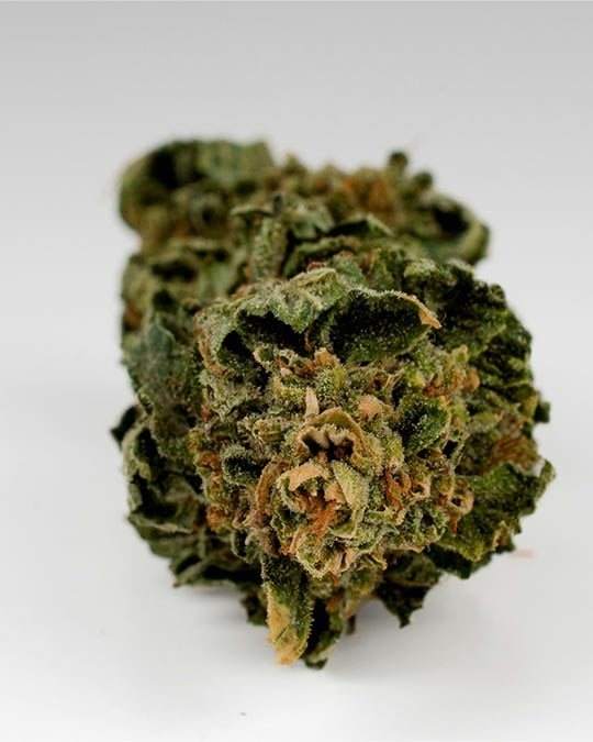 Pink Panther