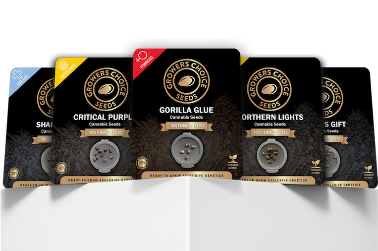 Buy cannabis seeds online