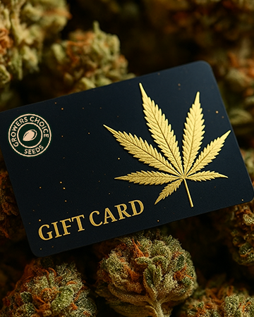 Buy Gift Cards