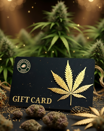 Buy Gift Cards