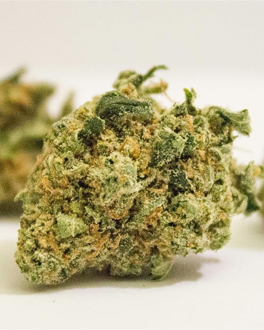 Buy Blueberry Muffin