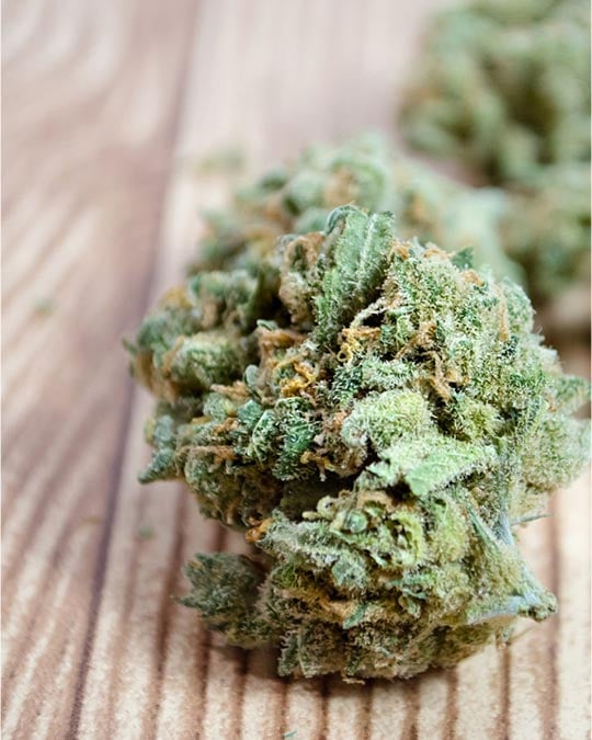 Buy Blueberry Pancakes