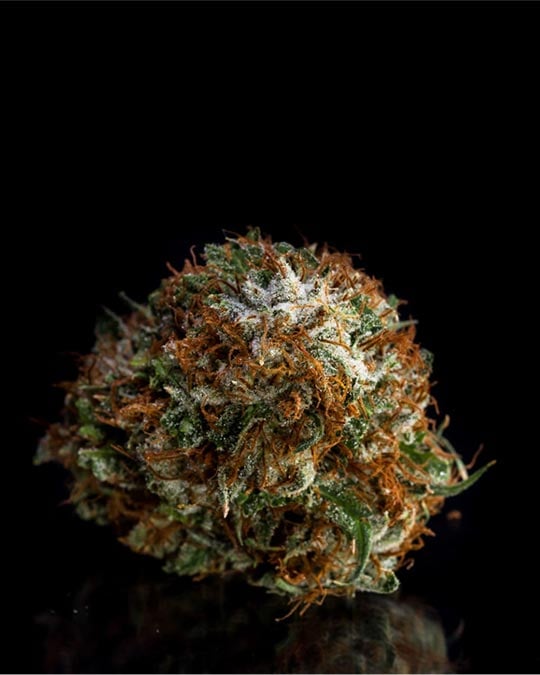 Buy Vanilla Frosting