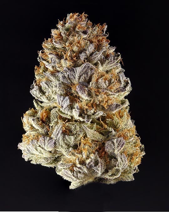 Buy Blackberry Moonrocks