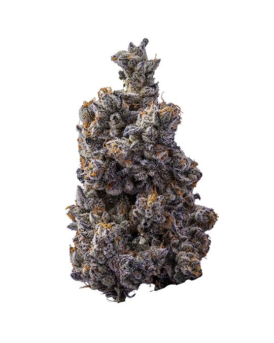 Buy Grandmommy Purple