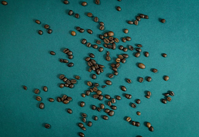 Cannabis seedlings need light, airy, low-nutrient soil to get off to a healthy start. Find out how to choose or mix the right growing medium and avoid the most common beginner mistakes.