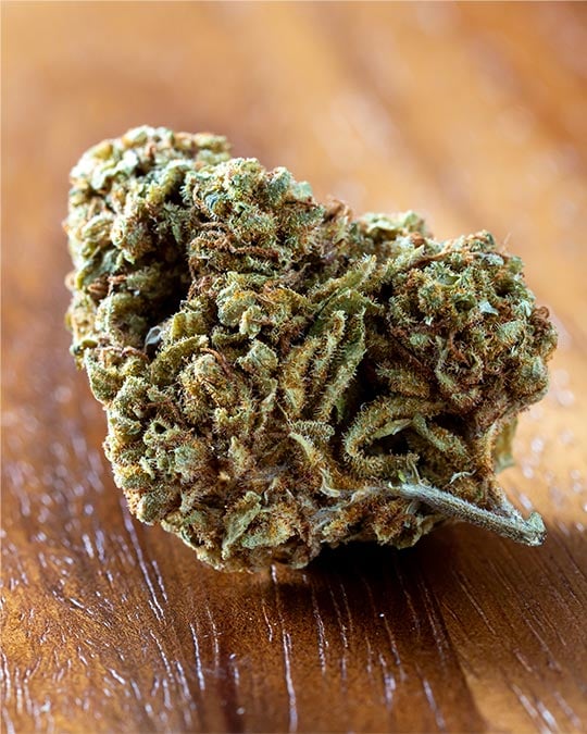 Buy Garlic Cookies