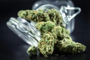 high-resolution shot of dried cannabis buds spilling from a mason jar.