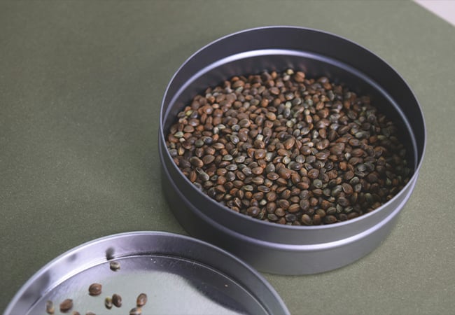 Factors that impact weed seed prices