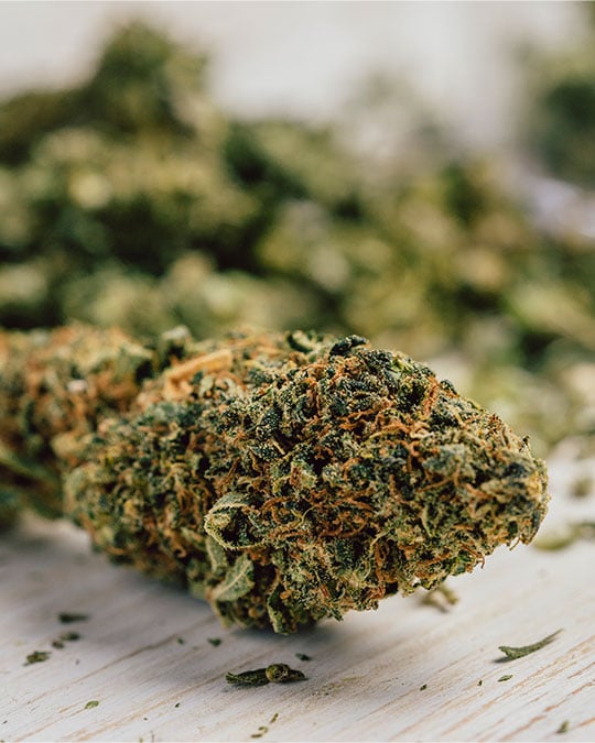 Buy Blue Skunk