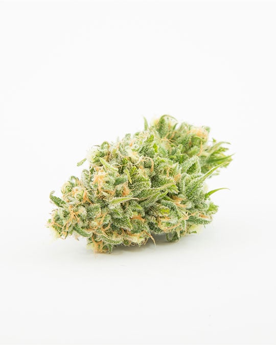 Buy Chem Valley Kush