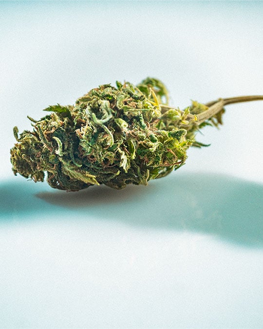 Buy Hazy Kush