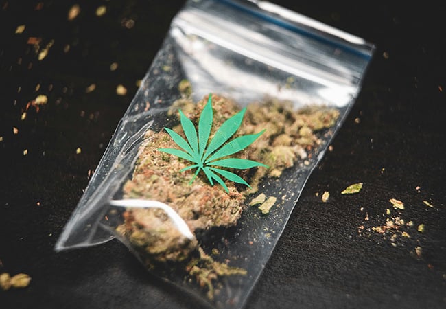 Cannabis seeds typically run $5 to $20 per seed in 2025 — read our guide to learn what drives the price and how to make sure you're getting quality genetics for your money