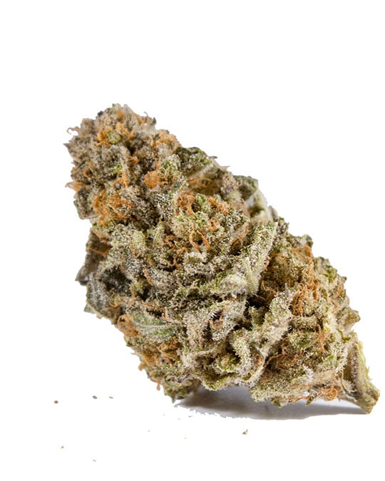 Buy Mimosa Orange Punch